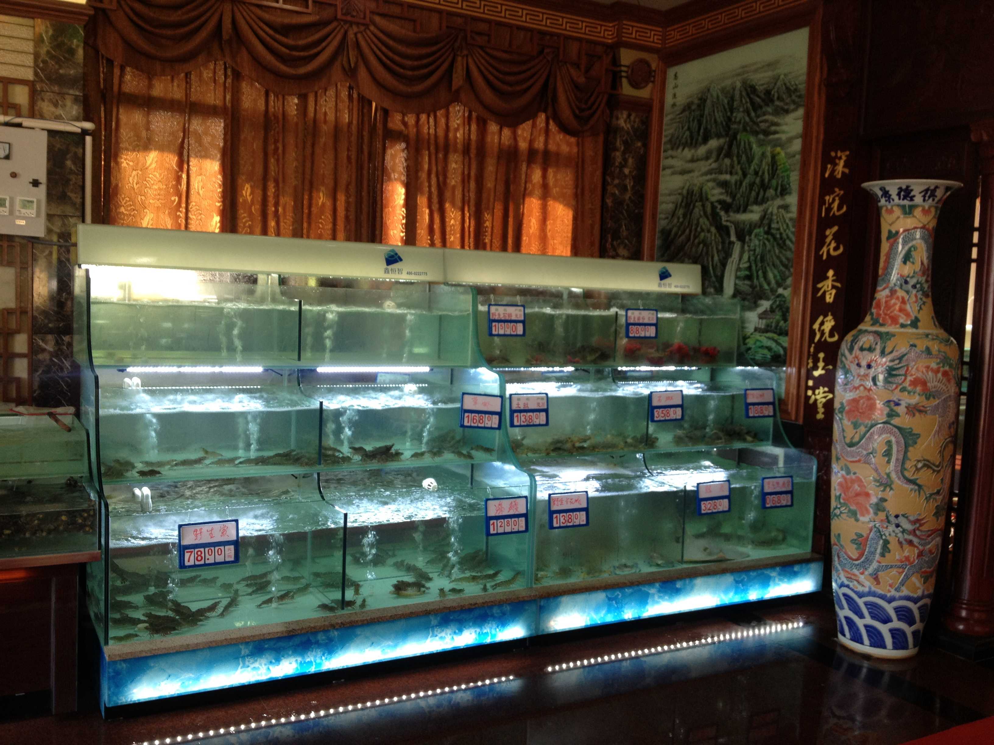 莆田灵川海鲜酒楼