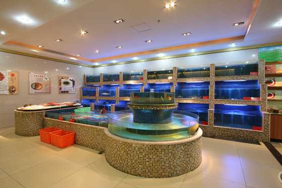          养生宝典大酒楼         