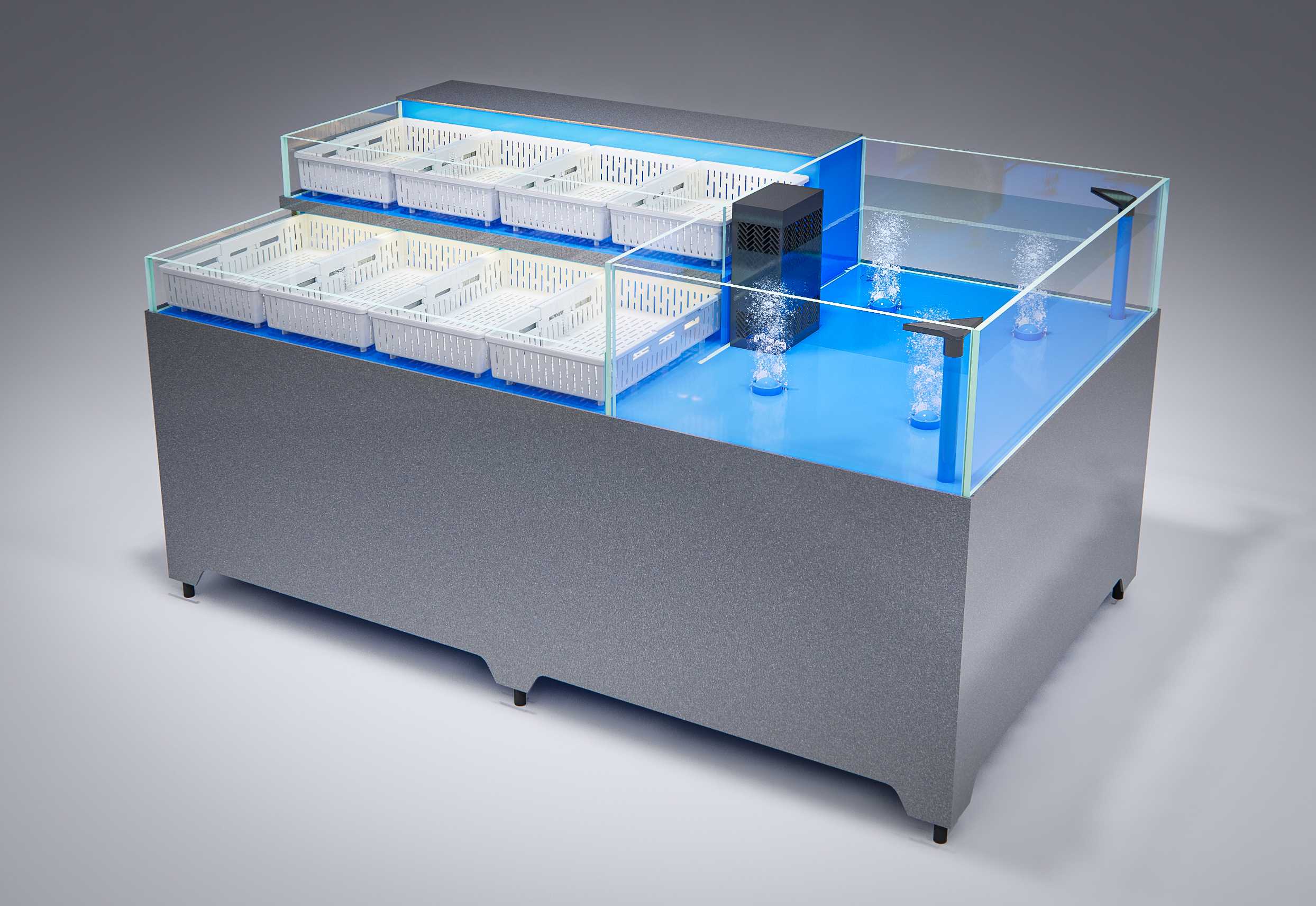 Shrimp and shell combination tank (dual system)