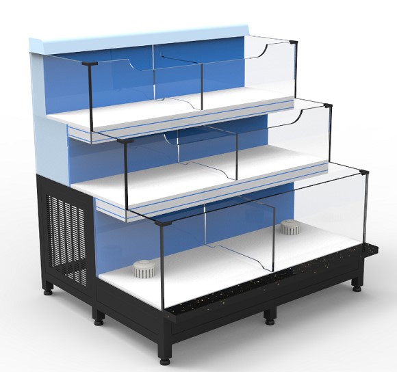 Three-tier seafood pool