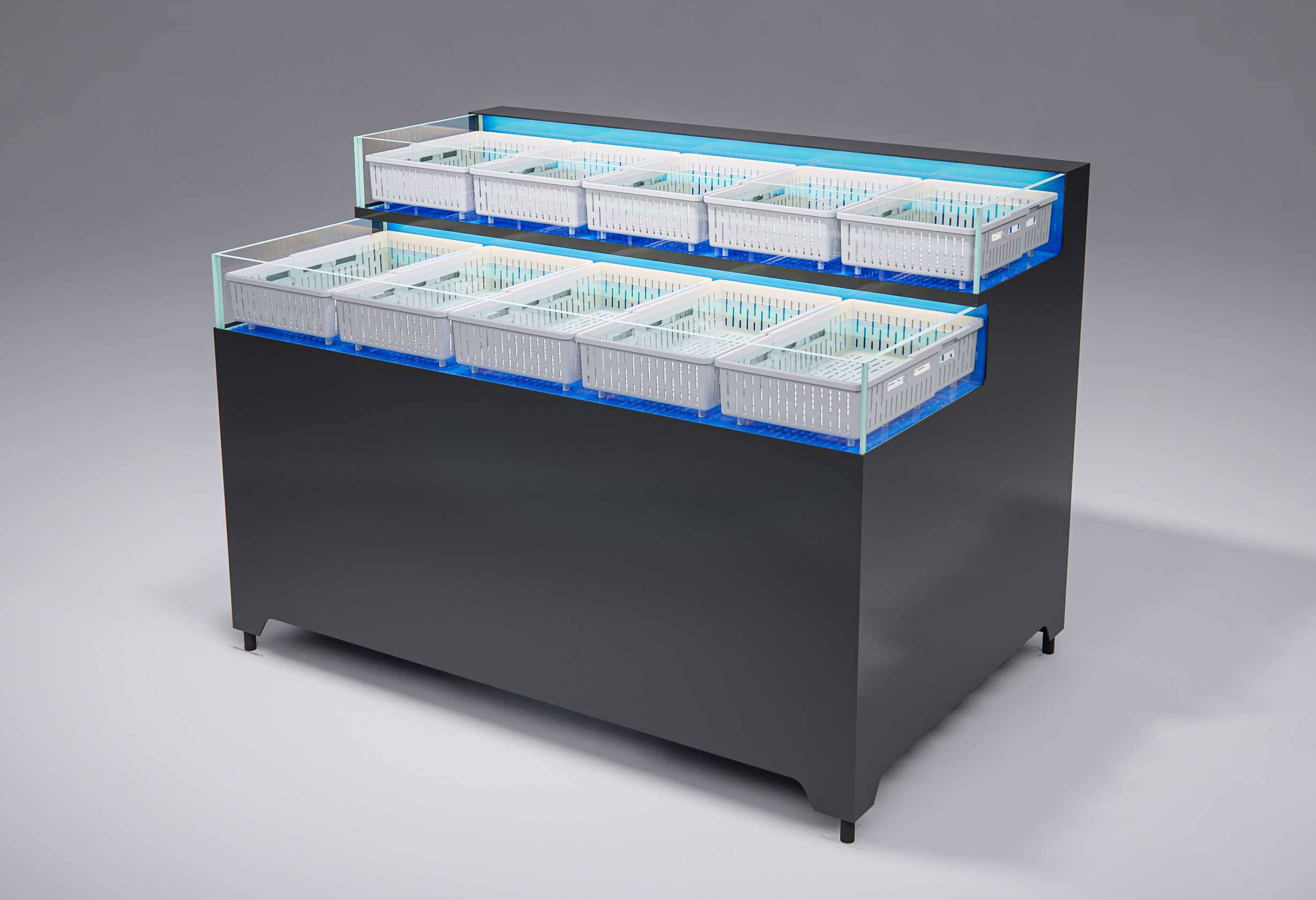  two layer shellfish tank