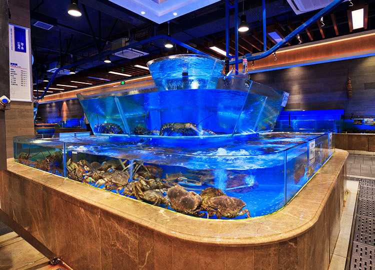 Engineering Quality System